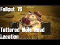 Fallout 76 Tattered Mole Head Location Dolly Sods Wilderness