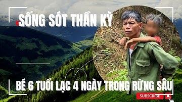 Bé 6 Tuổi Lạc 4 Ngày Trong Rừng Sâu Yên Bái: Kỳ Tích Sinh Tồn Đáng Kinh Ngạc