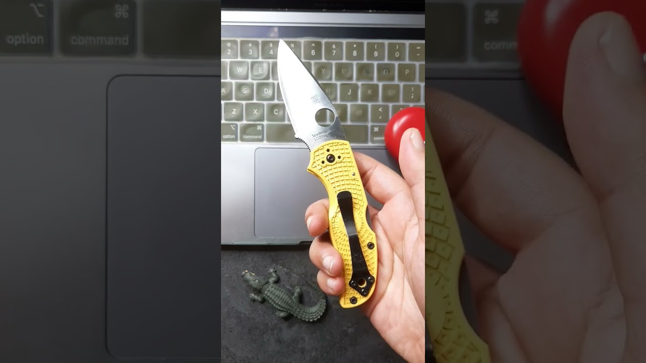 ASMR Fidgeting Spyderco Native 5 Salt Back Lock