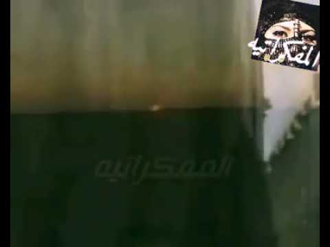 يا غالية علينا وردة محمود ياسين