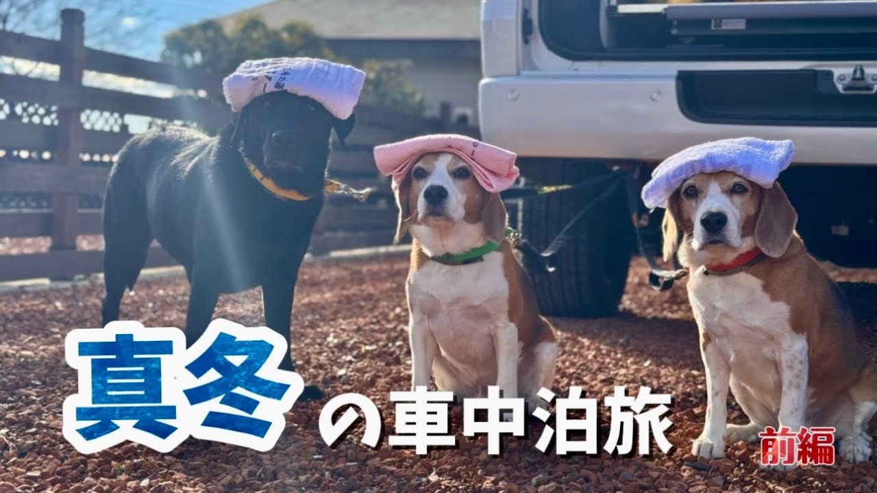 【サモベとお正月】真冬の車中泊旅2026 in草津・那須(前編)