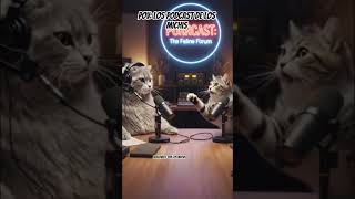 Pov: los podcast de los michis #comedia #humor #shorts #cat