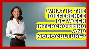 What Is The Difference Between Intercropping And Monoculture? - The World of Agriculture