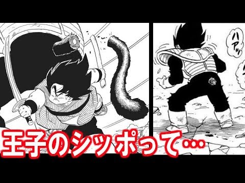 ドラゴンボール超 ベジータの尻尾って何で生えなくなったの Youtube