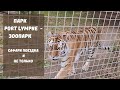 Парк Port Lympne - зоопарк.  Сафари поездка и не только!!!