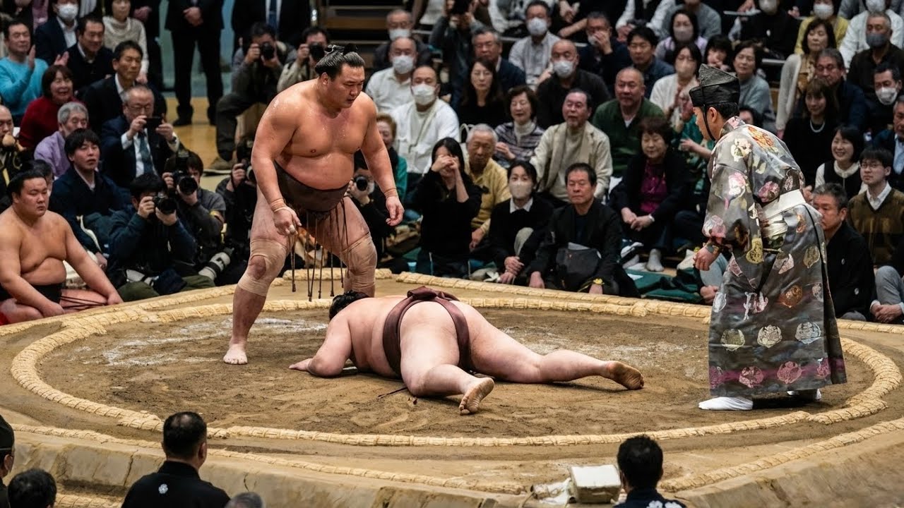 Don't Go to Japan Without Seeing THIS! First Time Grand Sumo Experience