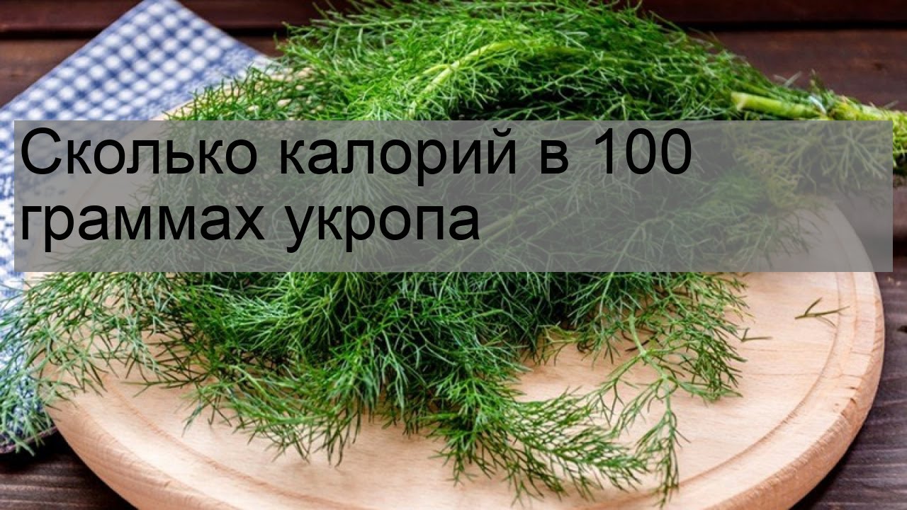 Укроп в граммах. 100 Грамм укропа. Укроп калорийность. Укроп сколько грамм. 10 Грамм укропа.