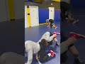 Wrestling ￼🤼 MMA