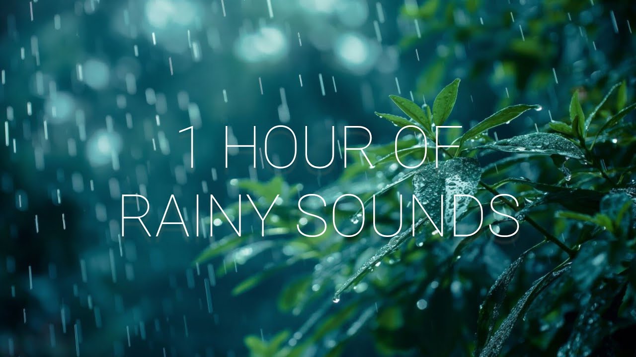 1 Hour of Rain in the Forest | Relaxing Nature Sounds for Sleep & Focus ...