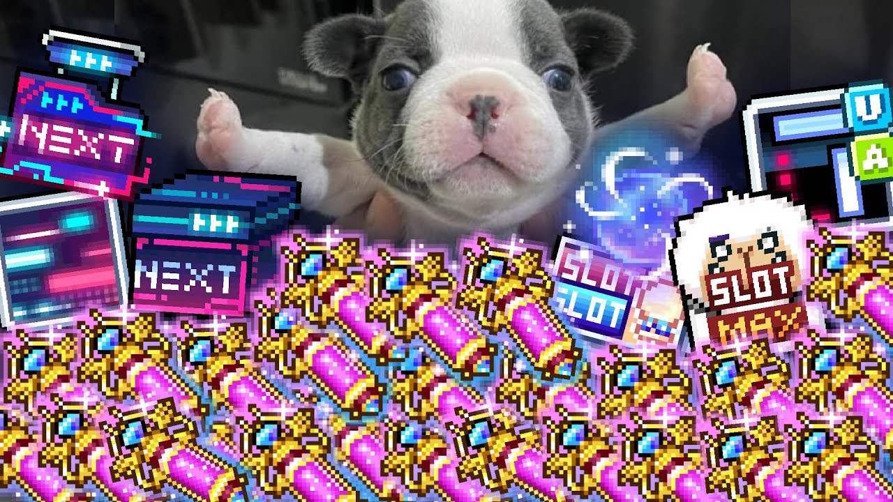 MapleStory NEXT FREE 25 MAX Growth Potions and more gifts!!