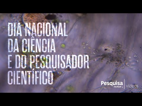 Especial: Dia Nacional da Ciência e do Pesquisador Científico