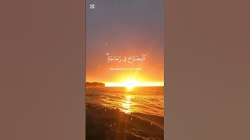 #محمد_صديق_المنشاوي #المنشاوي #ارح_سمعك #تلاوة_خاشعة #قرآن_الصباح #قران_كريم_بصوت_جميل_جدا #اكسبلور