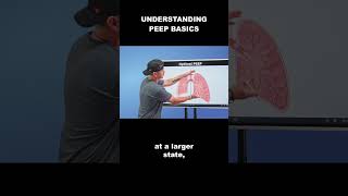 Respiratory Therapy - Understanding PEEP Basics