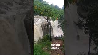 ଗୁଣ୍ଡିଚା ଘାଗି କେଉଁଝର #nature #love #ytshorts #youtubeshorts #waterfall #shortvideo