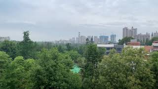 Nature sounds:Morning birds singing screenshot 5