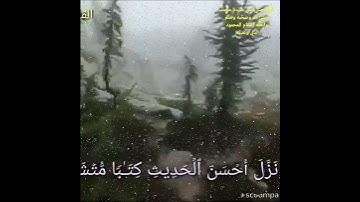 الله نزل أحسن الحديث كتابا متشابها وتلاوة بصوت جميل جدا والقارئ/ابو حمزه.