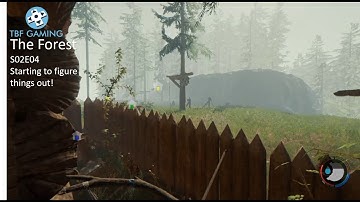 The Forest S02E04 A stone wall and a tree bridge!