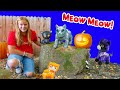 Assistant Looks for Meow Meow from the Paw Patrol Cat Pack