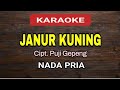 Janur Kuning Karaoke Pria @pujigepeng27 