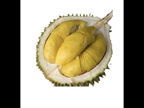 Vidéo: Le Durian Est Le Roi Des Fruits