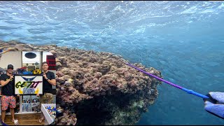 Biggest School We Ever Seen  / 3 Prong Action / Went to Lego Land / Hawaii Spearfishing Vlog