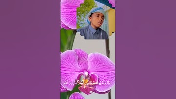 😍😍😍القارئ الصومالي محمد 😍😍😍