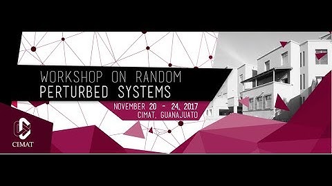 Topics in random dynamics-Yuri Bakthin (Miércoles/Wednesday)