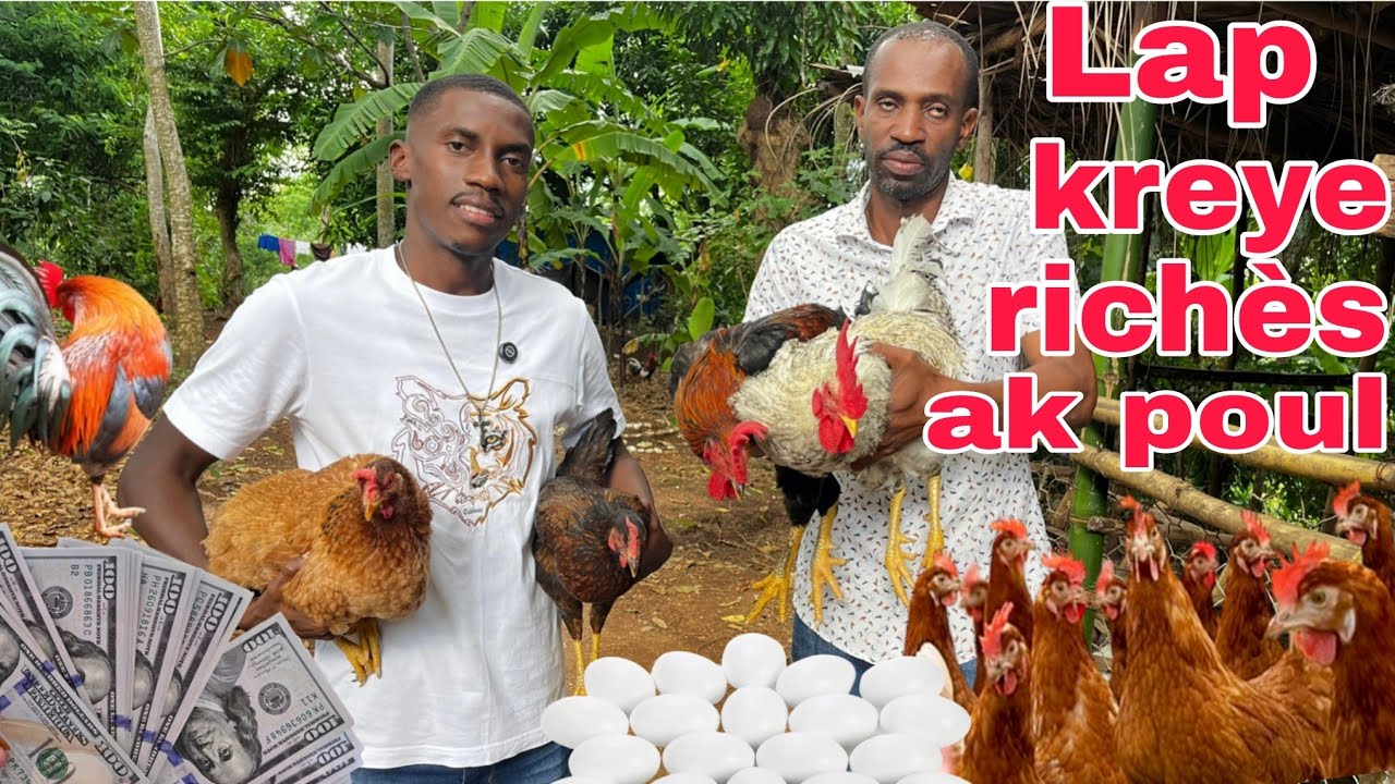 Yon pwofesè ki ap fè lajan nan elvaj poul