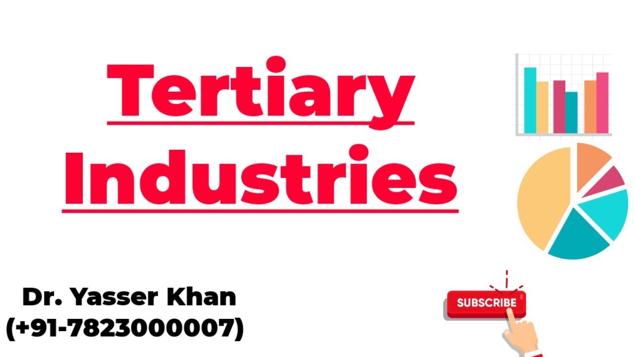 Tertiary Industries Meaning Of Tertiary Industries Business Studies Commerce Economics