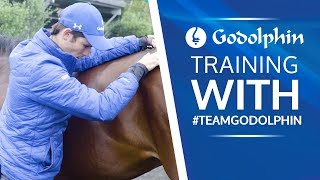 Training with #TeamGodolphin - Trot Ups