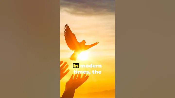 Why Doves? The Story Behind Their Peace Symbol 🕊️💡#doves - DayDayNews