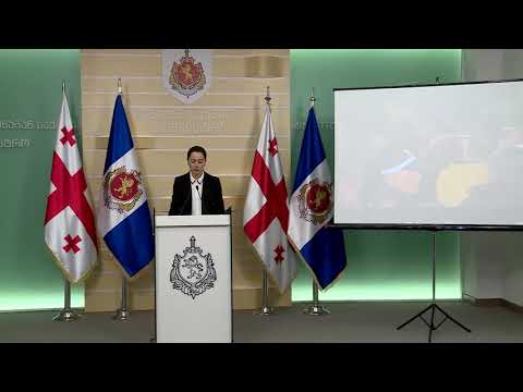 შინაგან საქმეთა მინისტრის მოადგილის - ნინო ცაციაშვილის ბრიფინგი