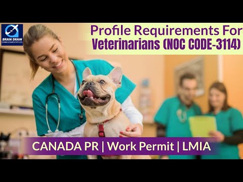 Veterinarians - Profile Description for Canada Work permit, LMIA and PR | NOC CODE 3114