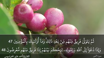 الصفحة 356 سورة النور بصوت القارئ المهندس أحمد فايز الحراسيس