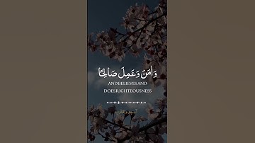 قرآن الكريم // حالات واتساب //القارئ شريف مصطفى // [تلاوة خاشعة ]