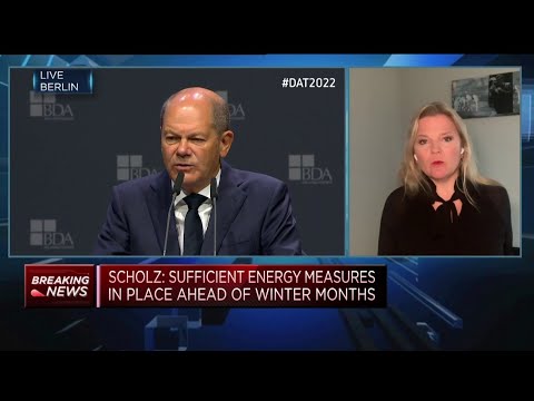 Harshness of winter will determine whether energy will be rationed, professor says - CNBC International TV