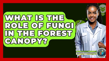 What Is The Role Of Fungi In The Forest Canopy? - Earth Science Answers