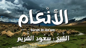 سورة الأنعام / المصحف المرتل / الشيخ سعود الشريم / Surah Al-An'am / Sheikh Saud Al Shuraim