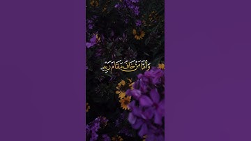 {وَأَمَّا مَنْ خَافَ مَقَامَ رَبِّهِ …} تلاوة خاشعة للقارئ رعد الكردي