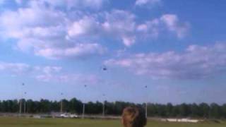 trex 250 se 3d flight
