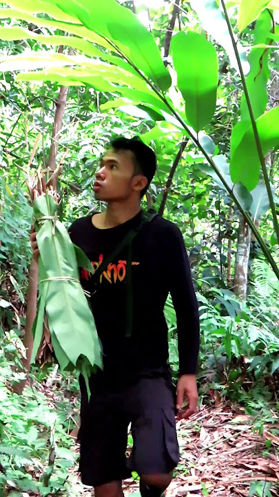 Ini cara dia menjinakan lebah liar, panen madu hutan Ngebolang #14 #jejakbudakabrag