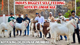 India's Biggest Self feeding Kota hub only in Andheri by Umar KGF.Kota King of Deonar(Mumbai)