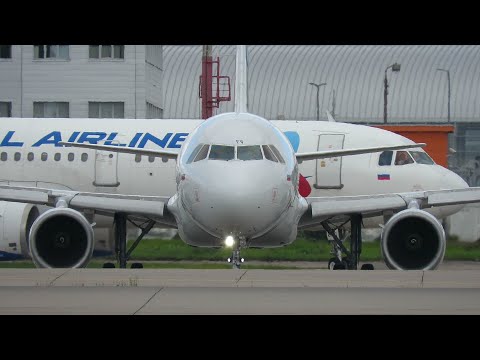 Video: Sådan Bookes En Taxa På Domodedovo