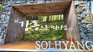 강릉 여행 바다 말고, 여기 어때? 솔향수목원