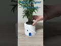 Aegean Collection Vol.1  Round Stairs Showcase #3dprinting  #crowdfunding  #kickstarter  #3dmodeling