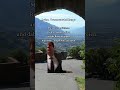 Fantastische Vorstellung #comedy