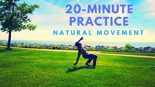 20-minute Natural Movement Workout