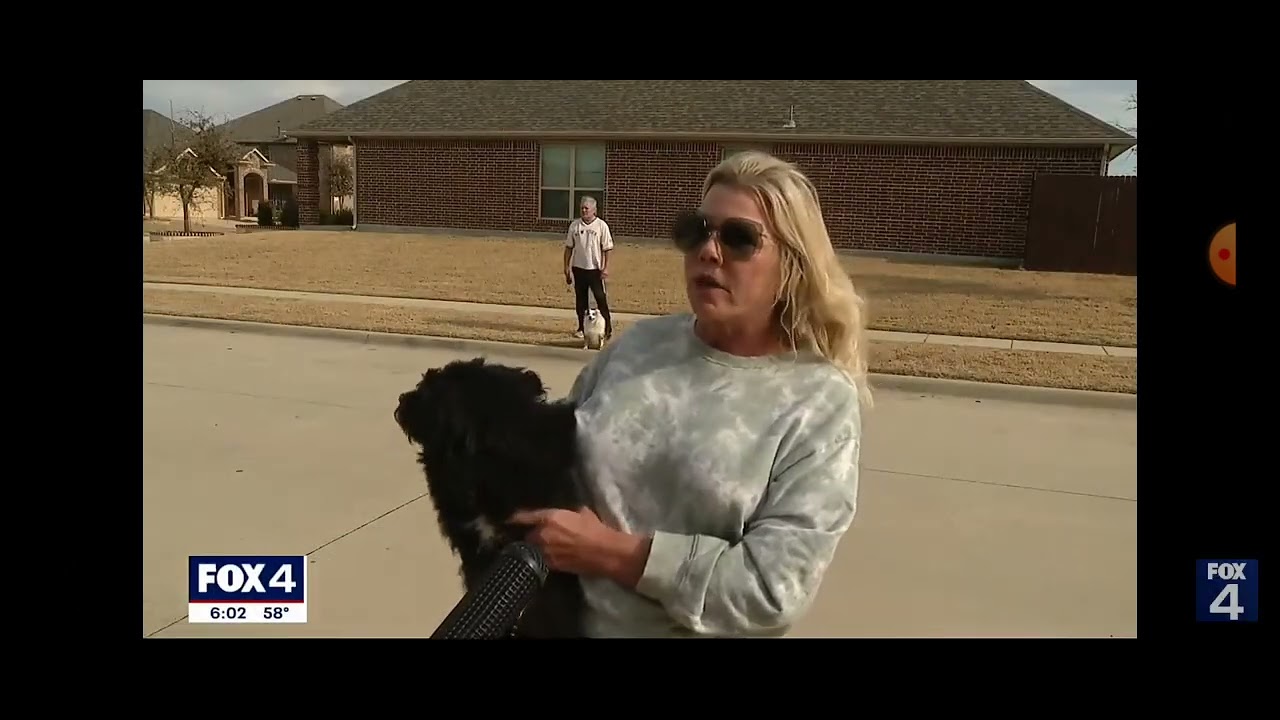 Father stabs 9 year old to death and wounds himself-McKinney,Tx