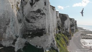 Normandy Coast | Falaise #103 | 20230408