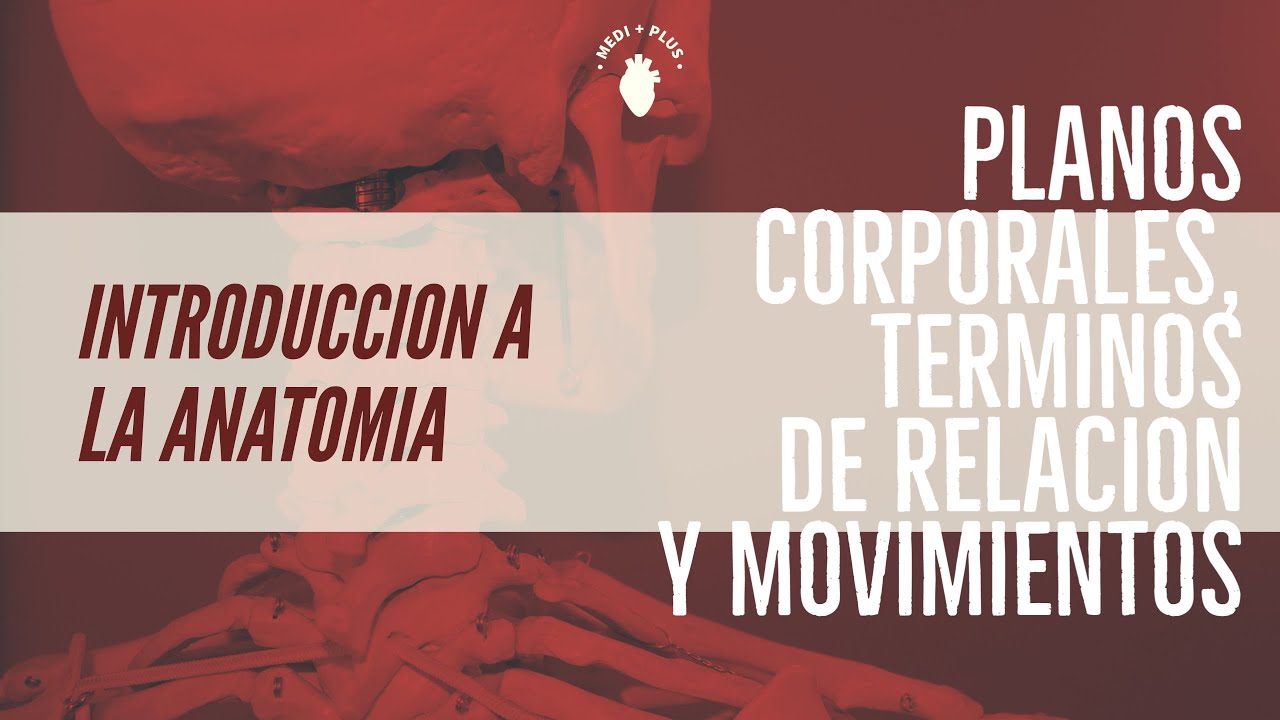 Introducción a la anatomía / Planos corporales, términos de relación y